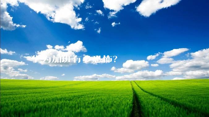 华为加班有多恐怖？