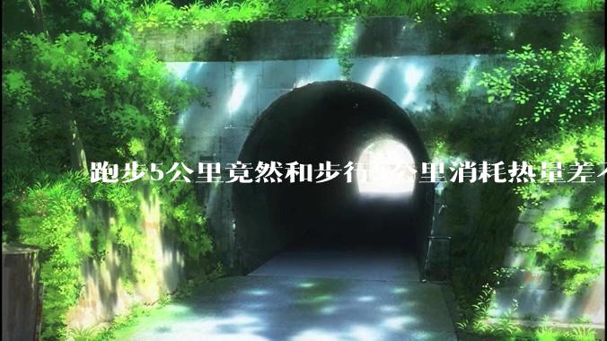 跑步5公里竟然和步行5公里消耗热量差不多，这科学吗?