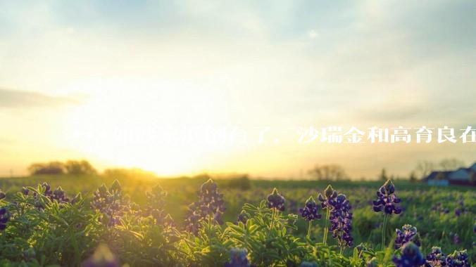 ***如沙家浜倒台了，沙瑞金和高育良在监狱重逢，两人会说些什么？