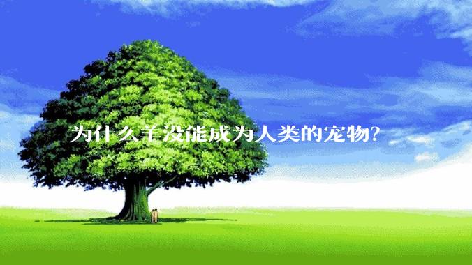 为什么羊没能成为人类的宠物？