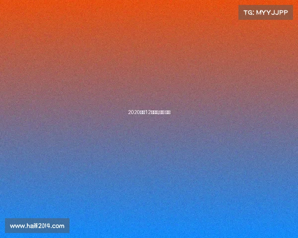 2020澳门12月赛事,澳门 比赛